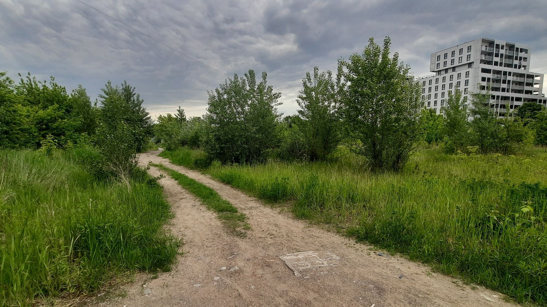 Pędzel Napis Nocne Niebo Natura Tapeta Na Pulpit 1