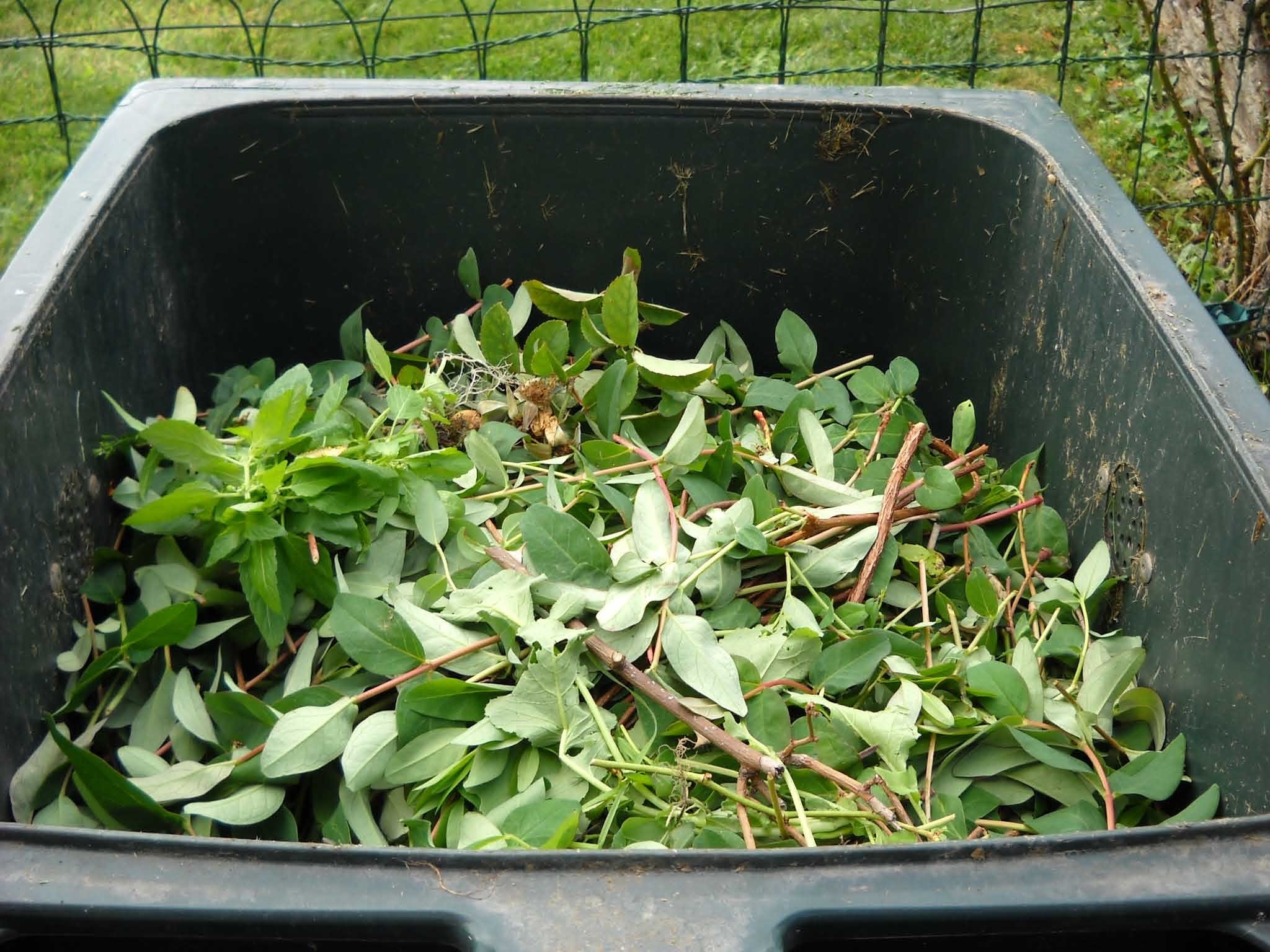 green waste 486011